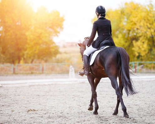 Invest Quality Time in Your Horse