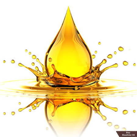 Read more about the article Oil’s Effect on your Horses